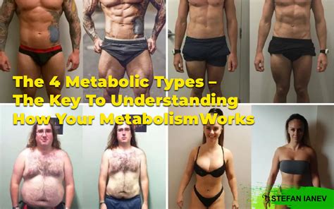 The 4 Metabolic Types - The Key To Understanding How Your Metabolism Works - Stefanianev.com