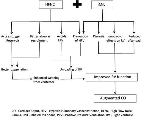 The complementary action of inhaled milrinone (iMil) via high-frequency ...