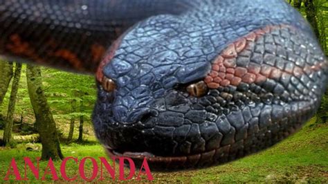 Giant Anaconda - Rắn Khổng Lồ Titanoboa - Jurassic World Alive - YouTube