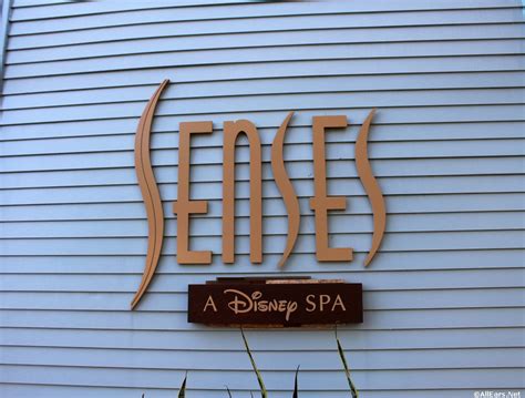 Senses Spa at Saratoga Springs Resort - AllEars.Net