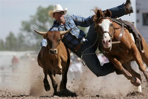 American Cowboy Culture is Alive and Kickin'