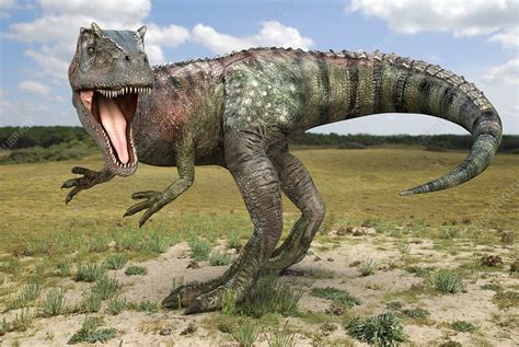 Allosaurus dinosaur, artwork - Stock Image - E446/0672 - Science Photo ...