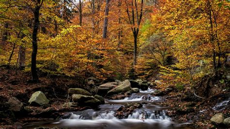 Forest River Autumn - Free photo on Pixabay