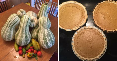 Cushaw Squash Pie Recipe - Like Pumpkin Pies - Nature's Guys