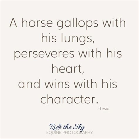 26 Great Horse Quotes - Ride the Sky Equine Photography