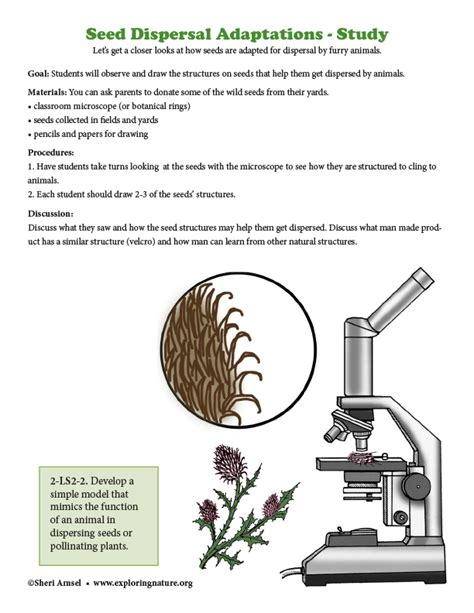 Seed Dispersal Adaptations - Study