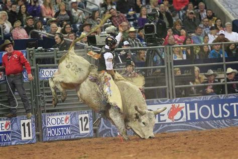 Bull riding at the rodeo gets closer look