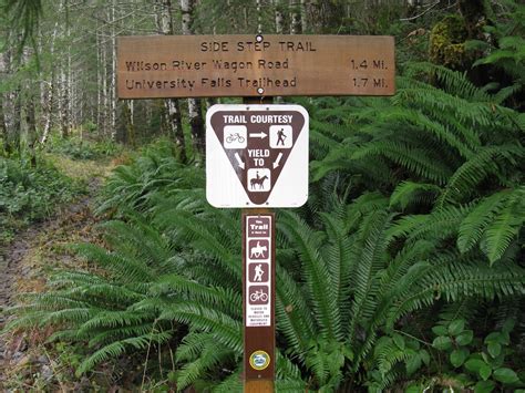 Tillamook State Forest Blog: Non-Motorized Trails