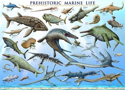 Image result for ancient aquatic dinosaur | Prehistoric, Dinosaur posters, Dinosaur