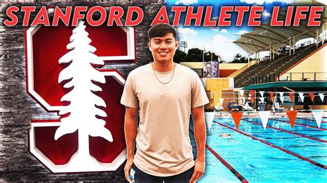 Stanford Swimming Facilities Tour | Life of a Stanford Athlete - YouTube