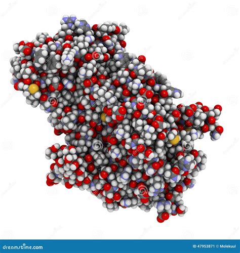 Alpha-galactosidase (Agalsidase) Enzyme. Stock Illustration - Illustration of replacement, alpha ...