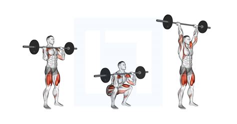 Barbell Squat to Shoulder Press - Guide, Benefits, and Form