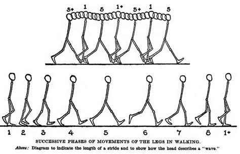 Walking Stickman Animation