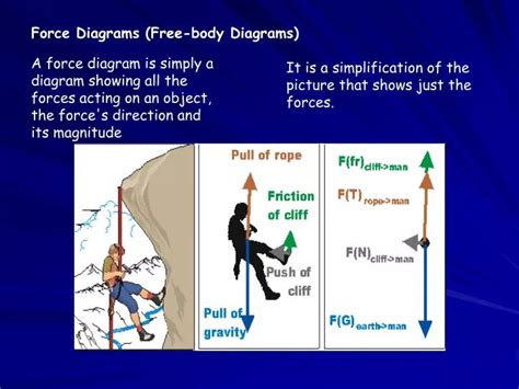 PPT - Force Diagrams (Free-body Diagrams) PowerPoint Presentation, free ...