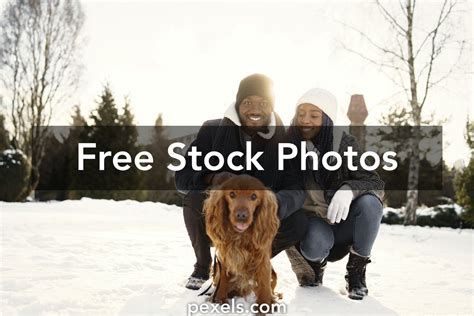 Dogs In Winter Hats Photos, Download The BEST Free Dogs In Winter Hats ...