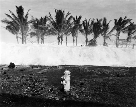 Tsunami Hawaii 1946, Leonie Poy Tsunami Survivor Youtube : And what ...