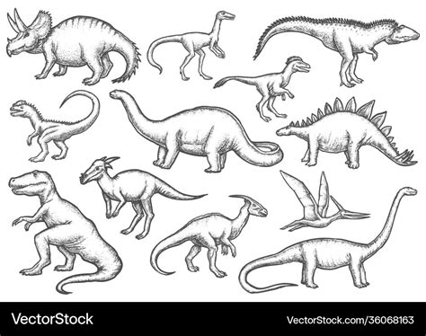 Set isolated dinosaur sketches dino sketching Vector Image