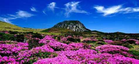 The top 10 highest mountains in South Korea