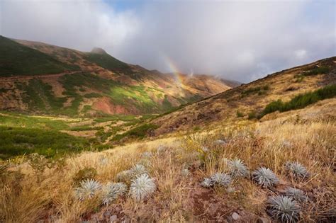 Premium Photo | Hiking on madeira island, portugal