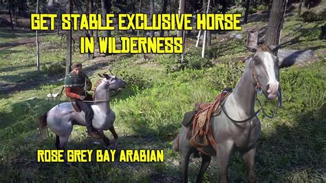 RDR2 - How to get stable exclusive horse in wilderness - Rose Grey Bay ...