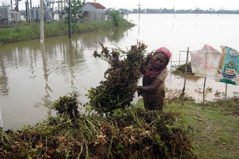 Sylhet Weather Stock Photos, Pictures & Royalty-Free Images - iStock