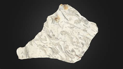 Oriskany Sandstone slab (PRI 83733) - Download Free 3D model by Digital ...