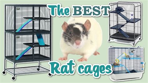 Good Rat Cages Cheap Sale | www.dvhh.org