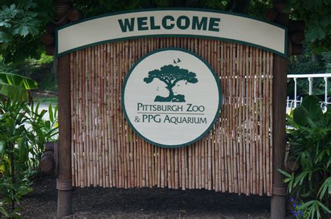 A Day at The Pittsburgh Zoo & PPG Aquarium