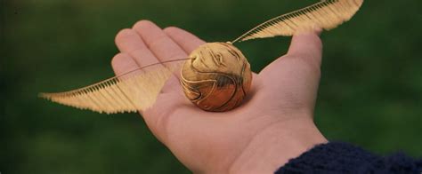 Quidditch | Harry potter quidditch, Harry potter snitch, Harry potter golden snitch