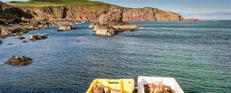 Berwickshire Coastal Path - Self guided walking holidays with baggage ...