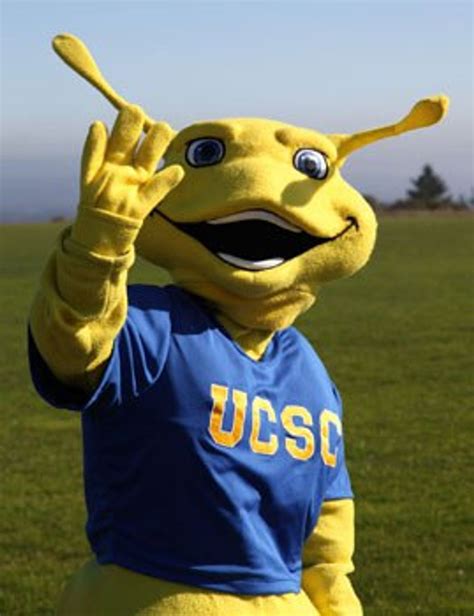 Why UCSC's Banana Slug Is The Best Mascot In College Sports