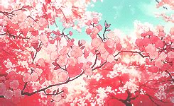 Cherry blossom GIF - Find on GIFER