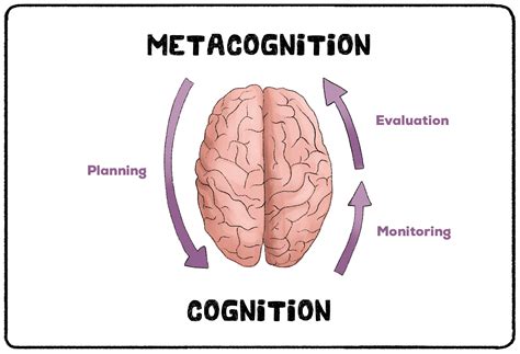 Metacognition - Practical Psychology