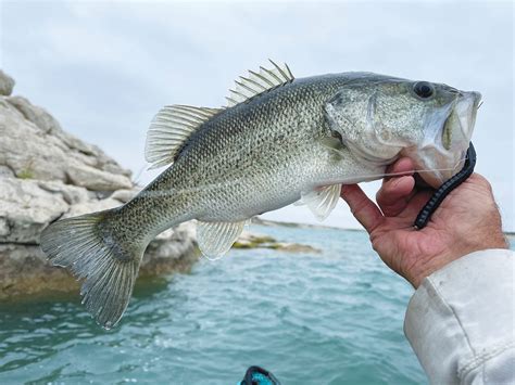 Lake Amistad - Coastal Angler & The Angler Magazine