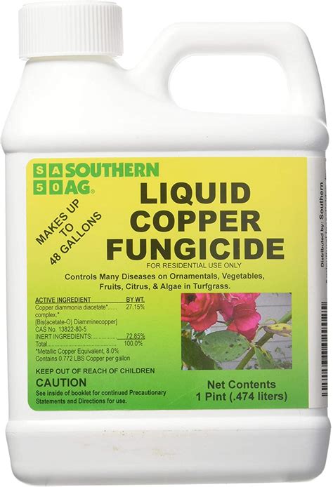 Best Fungicide For Citrus Trees - PestPhobia