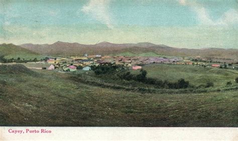 Estefania Aponte's Tree Took 200 Years to Prune - PUERTO RICO GENEALOGY