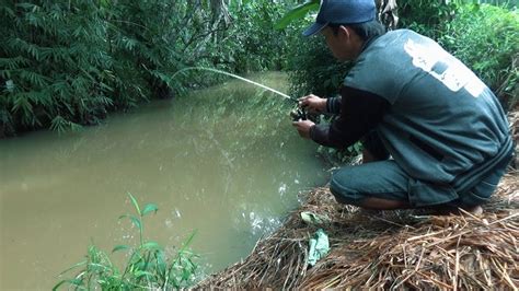 25+ Galeri Gambar Orang Lagi Mancing - Pemandangan