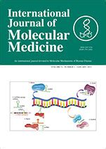 医学SCI期刊推荐：INTERNATIONAL JOURNAL OF MOLECULAR MEDICINE-佩普学术