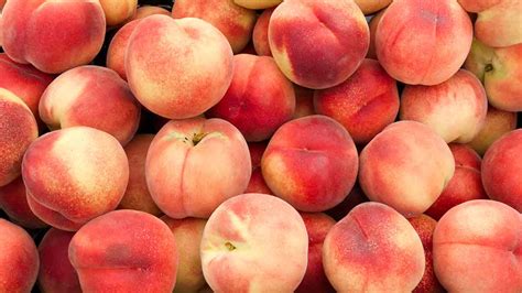 What's in Season? Peaches - Canadian Food Focus