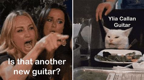 Ylia Callan Women Yelling At Cat GIF - Ylia Callan Women Yelling At Cat Funny Guitar Meme ...