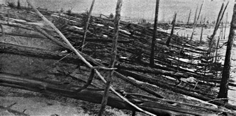 Mystery solved: meteorite caused Tunguska devastation