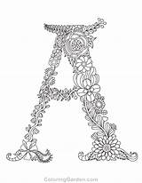 Pointillism Coloring Pages At GetColoringscom  Free Printable sketch template