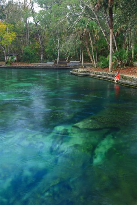 Wekiva Springs, Wekiwa Springs State Park, Orange County, … | Flickr