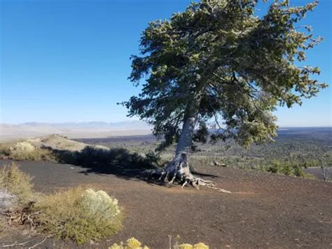 10 Best Hikes and Trails in Craters of the Moon National Monument | AllTrails