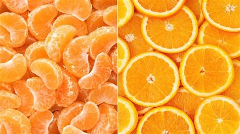 Les mandarines et les oranges: en quoi sont-elles différentes - infosante24