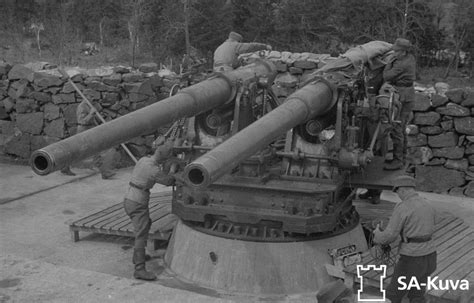 FINNISH ARMY 1918 - 1945: HEAVY COASTAL GUNS