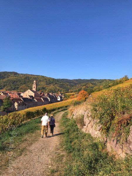 Wine, Castles, and Culture Top Reasons To Visit Riquewihr, Alsace | France wine, Wine travel ...