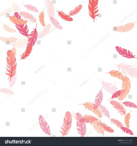 Paradise Pink Flamingo Feathers Vector Background Stock Vector (Royalty ...