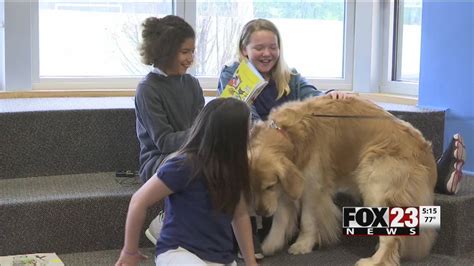 Carnegie Elementary School students read to therapy dogs in new reading ...