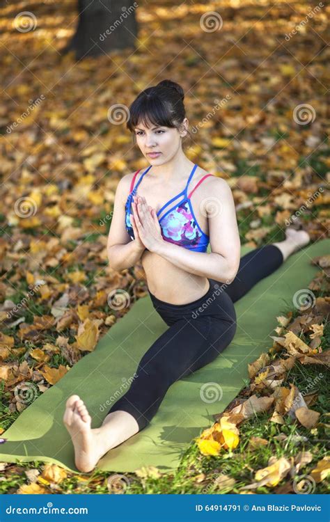 Monkey yoga pose stock image. Image of exercise, outdoors - 64914791